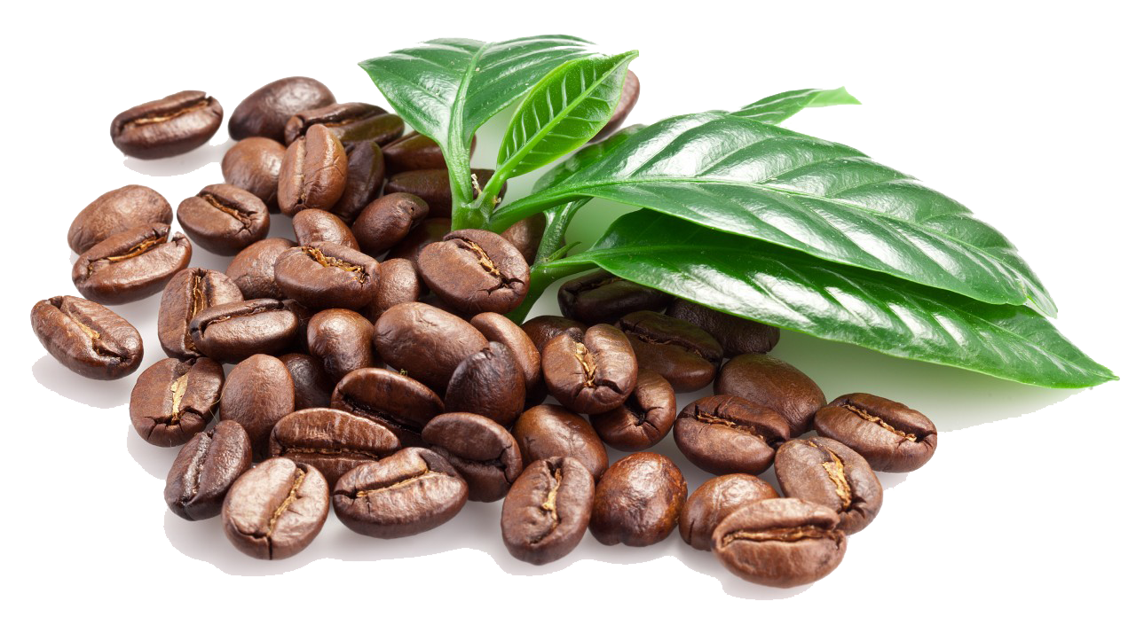 Coffee Beans Image Transparent PNG Image