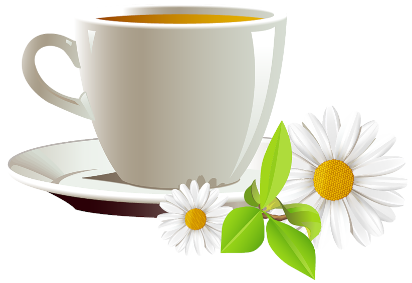 And Coffee Cup Of Tea Cafe Daisies Transparent PNG Image