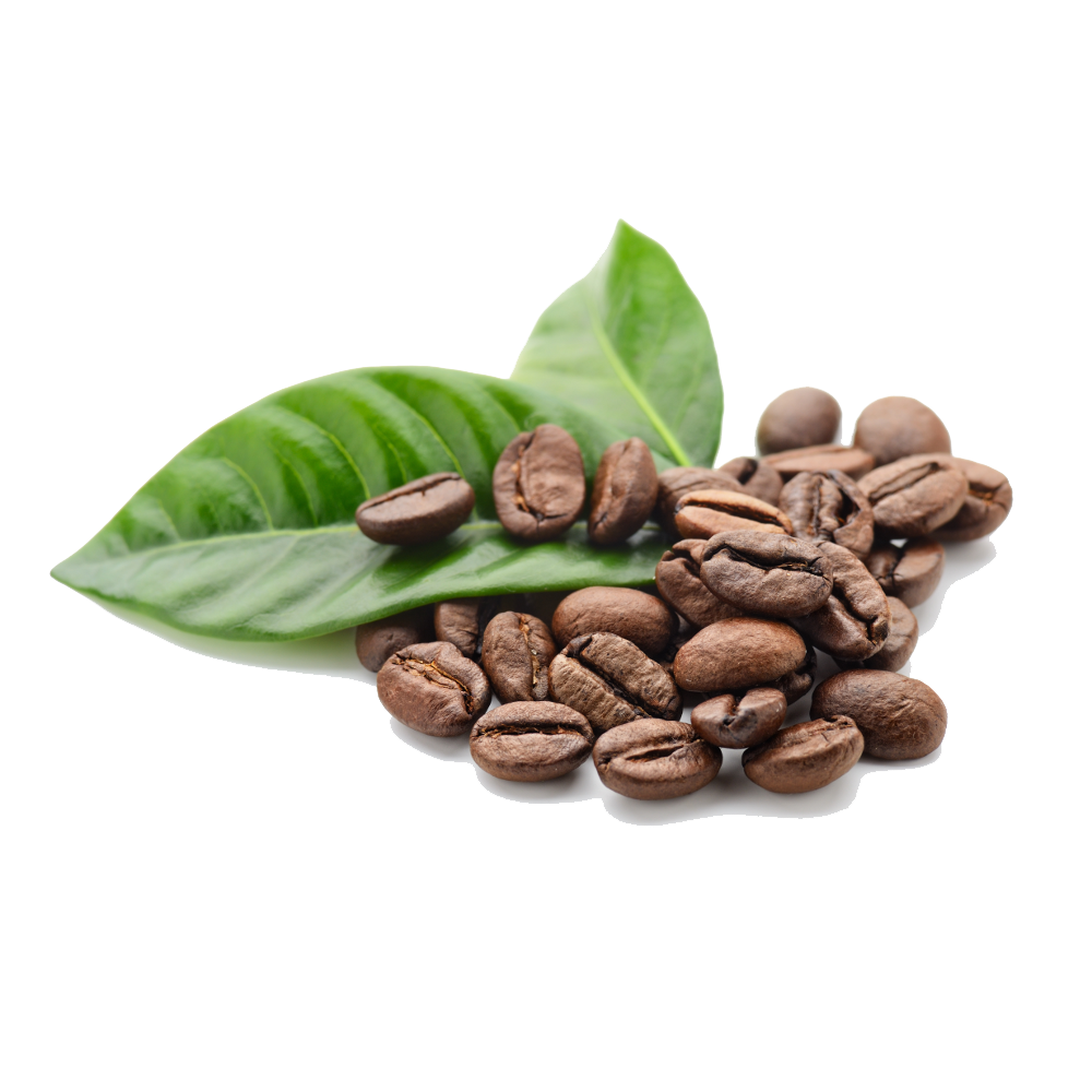 Coffee Beans Free Png Image Transparent PNG Image