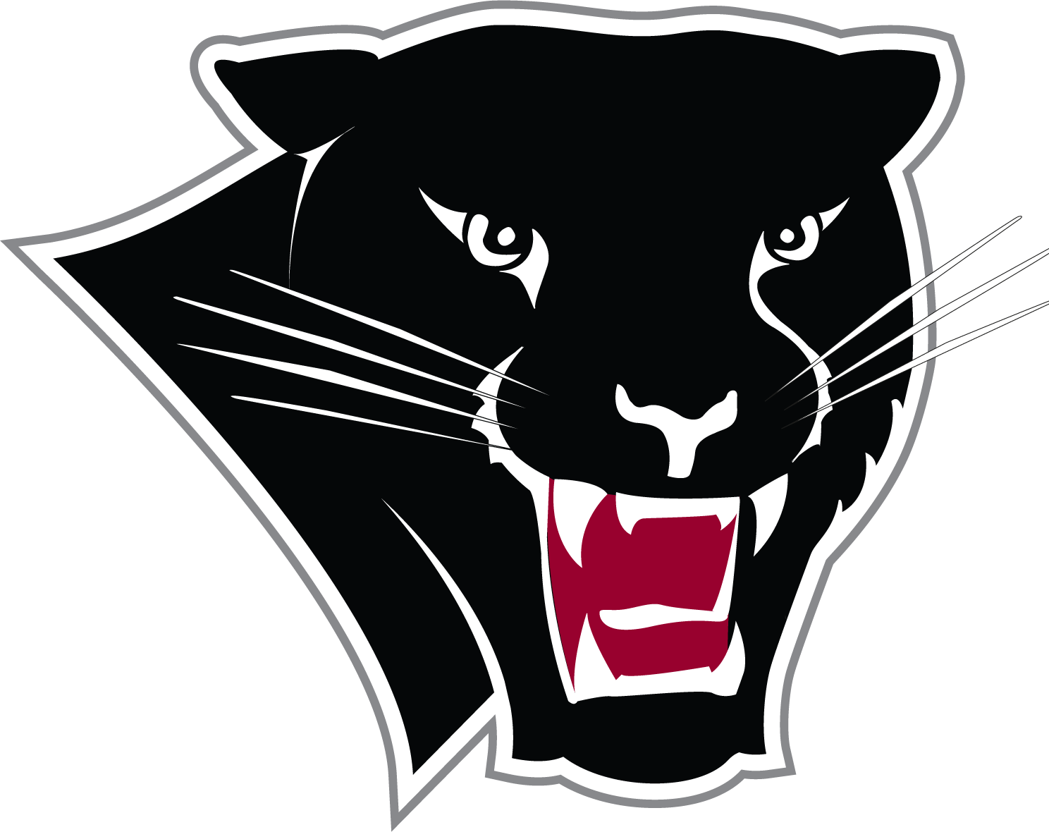 Basketball Panther Institute Of Football Florida Women'S Transparent PNG Image