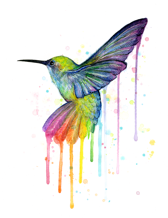 Watercolor Art Bird Free Download PNG HD Transparent PNG Image