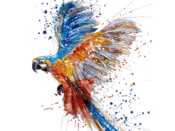 Watercolor Photos Art Bird PNG Download Free Transparent PNG Image