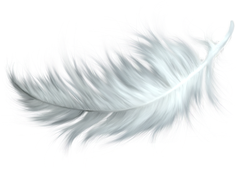 Watercolor Feather PNG File HD Transparent PNG Image