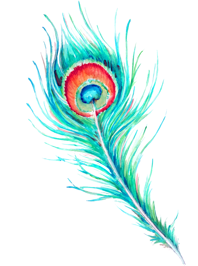 Watercolor Picture Feather Free Transparent Image HQ Transparent PNG Image