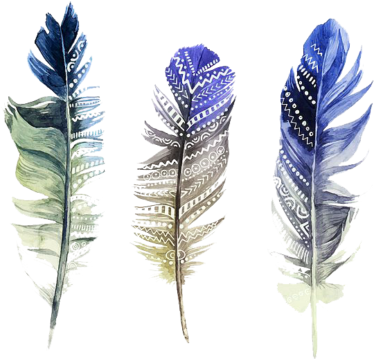 Watercolor Feather PNG Download Free Transparent PNG Image