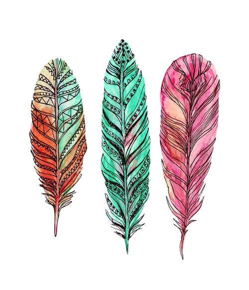 Watercolor Images Feather Free Transparent Image HQ Transparent PNG Image