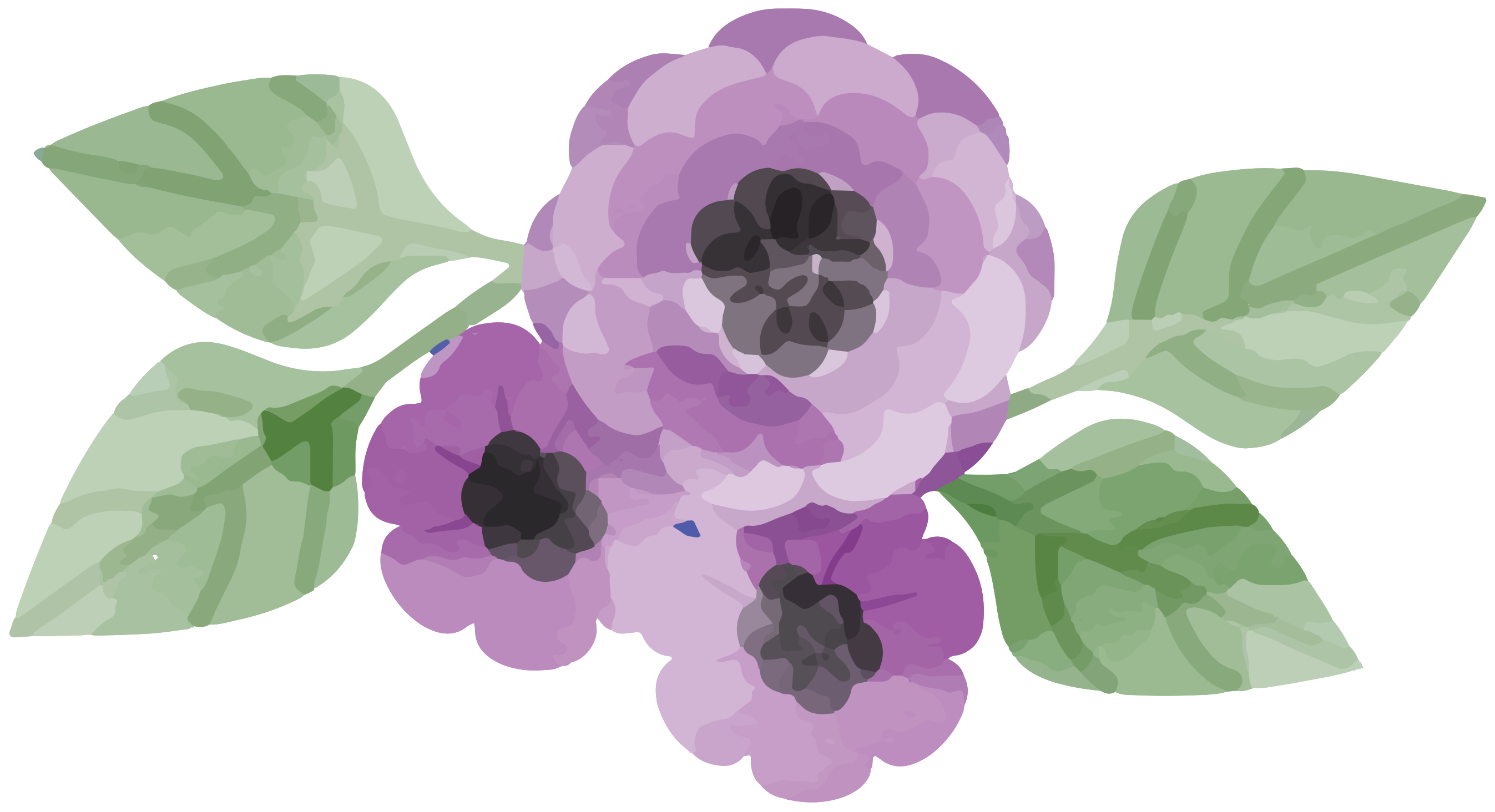 Watercolor Flower Free PNG HQ Transparent PNG Image