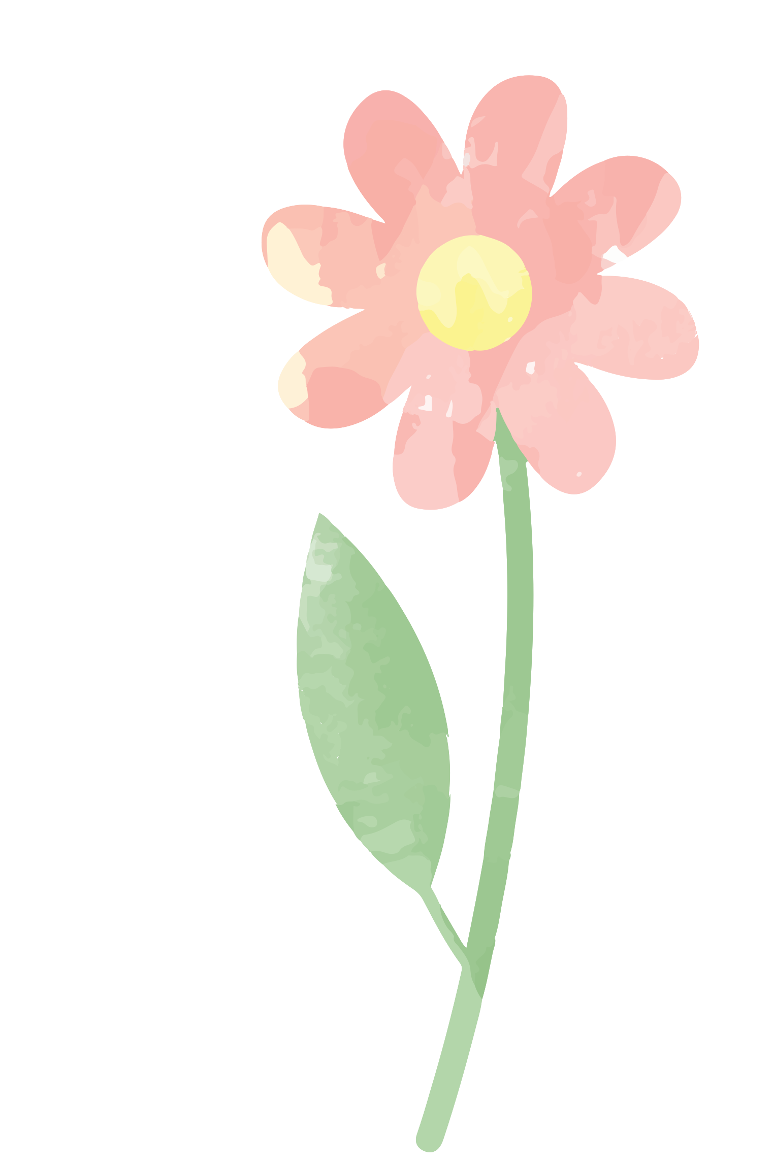 Watercolor Flower PNG Download Free Transparent PNG Image