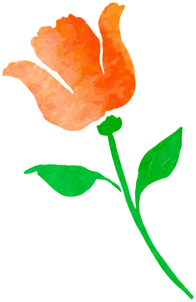 Watercolor Flower Free HQ Image Transparent PNG Image