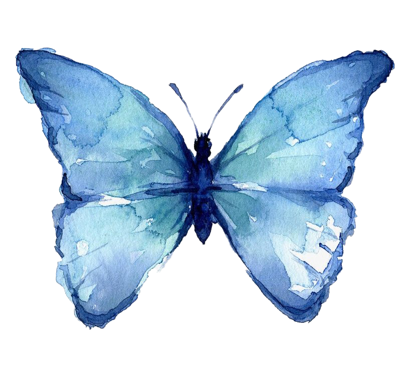 Butterfly Watercolor Art Photos Free Download PNG HD Transparent PNG Image