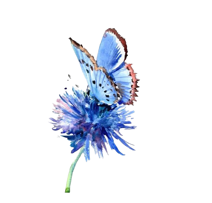 Butterfly Watercolor Art Download HD Transparent PNG Image