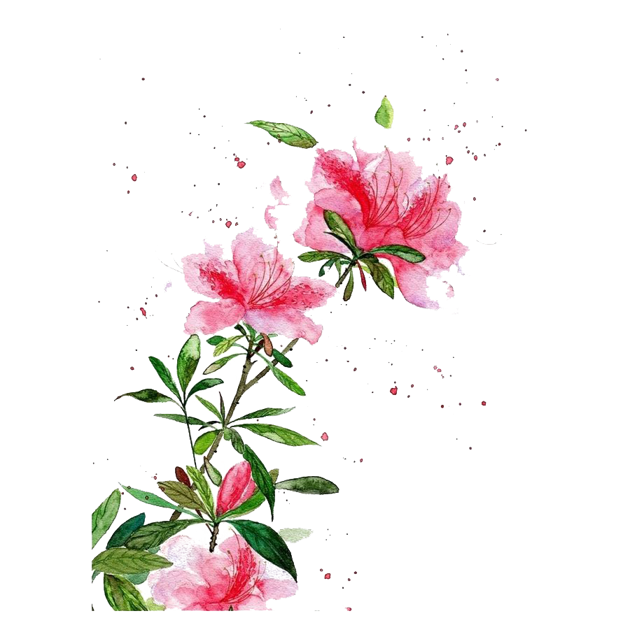 Watercolor Art HQ Image Free Transparent PNG Image