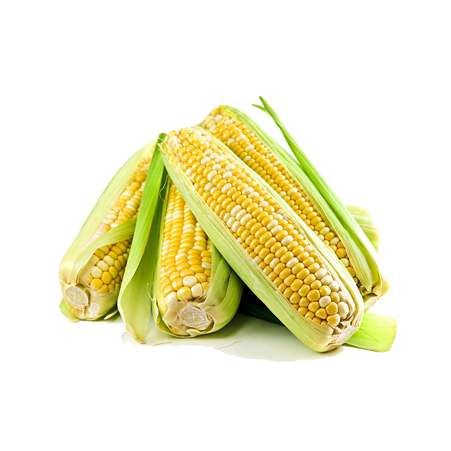 Corn Free Png Image Transparent PNG Image