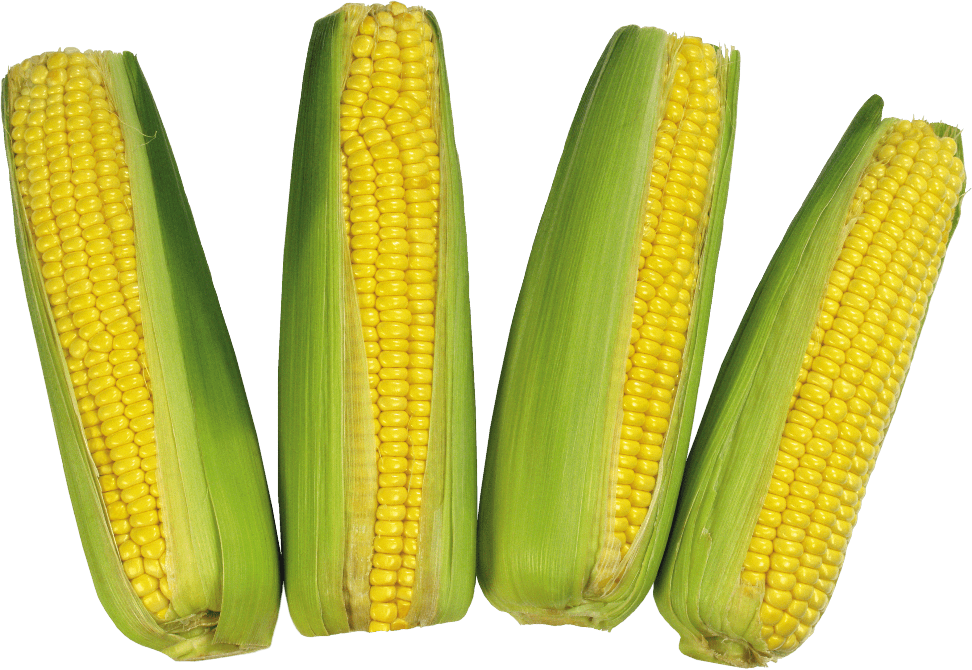 Corn Png Image Transparent PNG Image