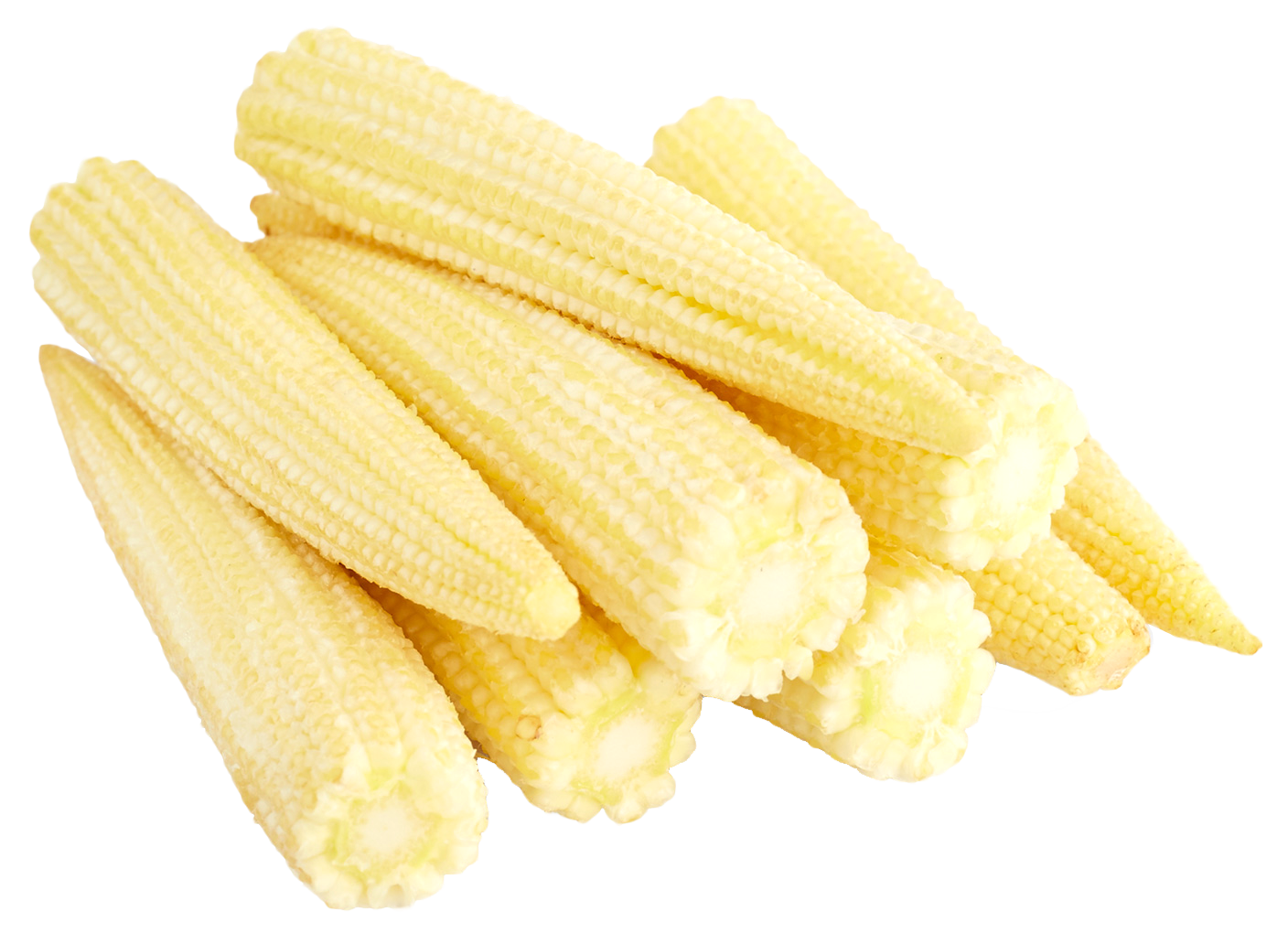 Baby Corn Dried Cobs Free PNG HQ Transparent PNG Image