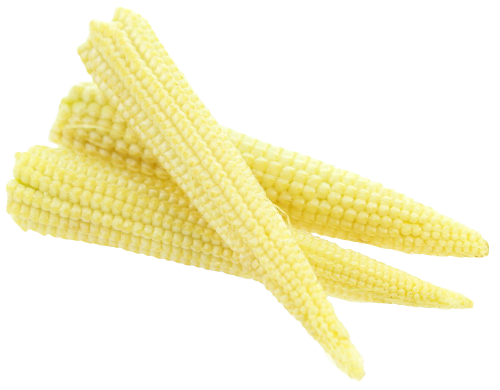 Baby Cornlets Corn Cobs Download HQ Transparent PNG Image