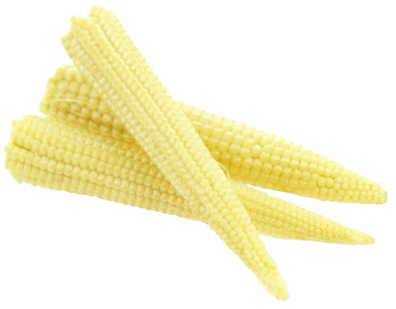 Baby Corn Young Cobs PNG Image High Quality Transparent PNG Image