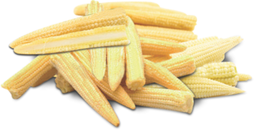 Baby Vegetable Corn Cobs Free Download PNG HD Transparent PNG Image