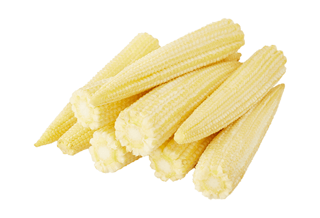 Baby Corn Mature Cobs Free Photo Transparent PNG Image