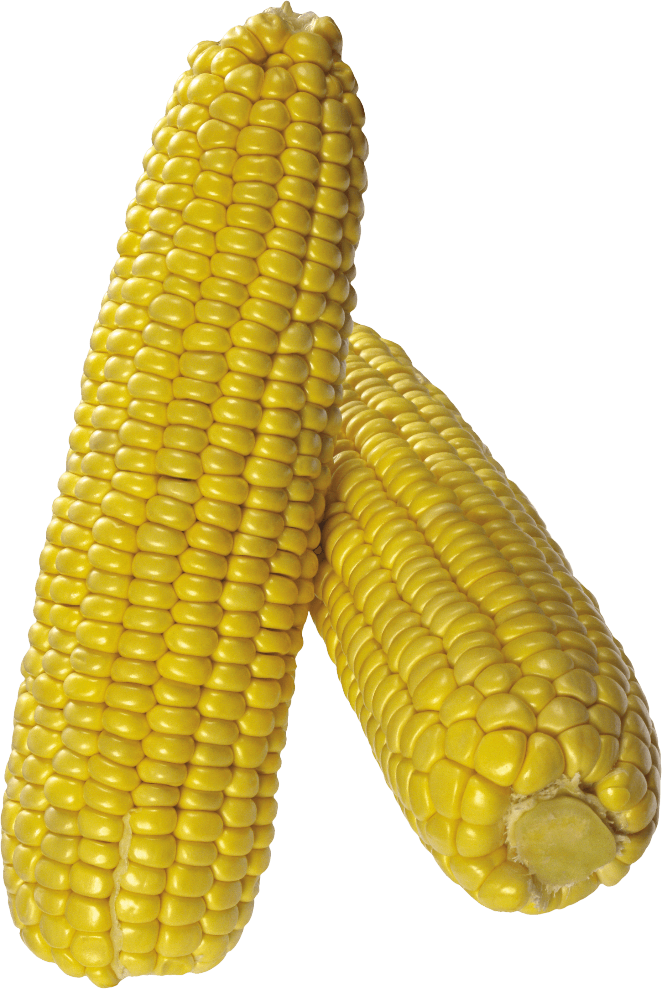 Corn Png Image Transparent PNG Image