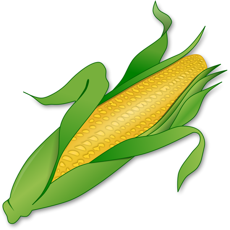 Corn Transparent PNG Image