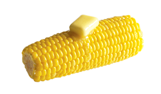 Corn Cob Transparent PNG Image