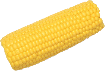 Corn Cob Clipart Transparent PNG Image