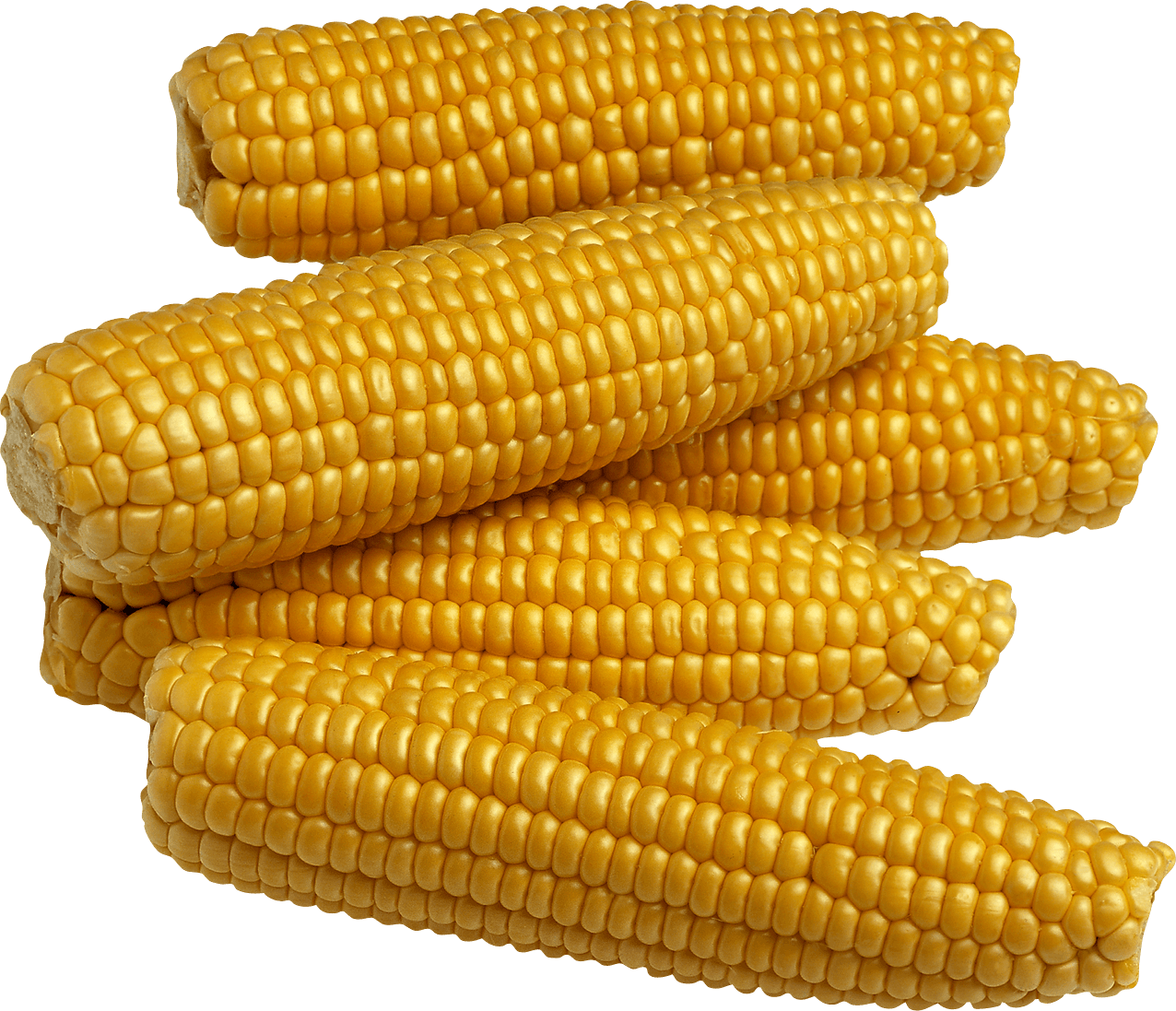 Yellow Corn Png Image Transparent PNG Image