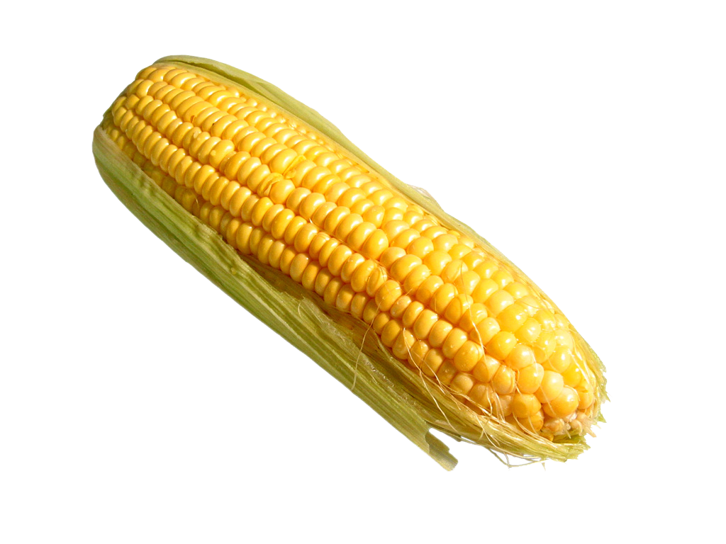 Corn Png Pic Transparent PNG Image