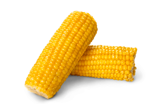 Corn Png Image Transparent PNG Image