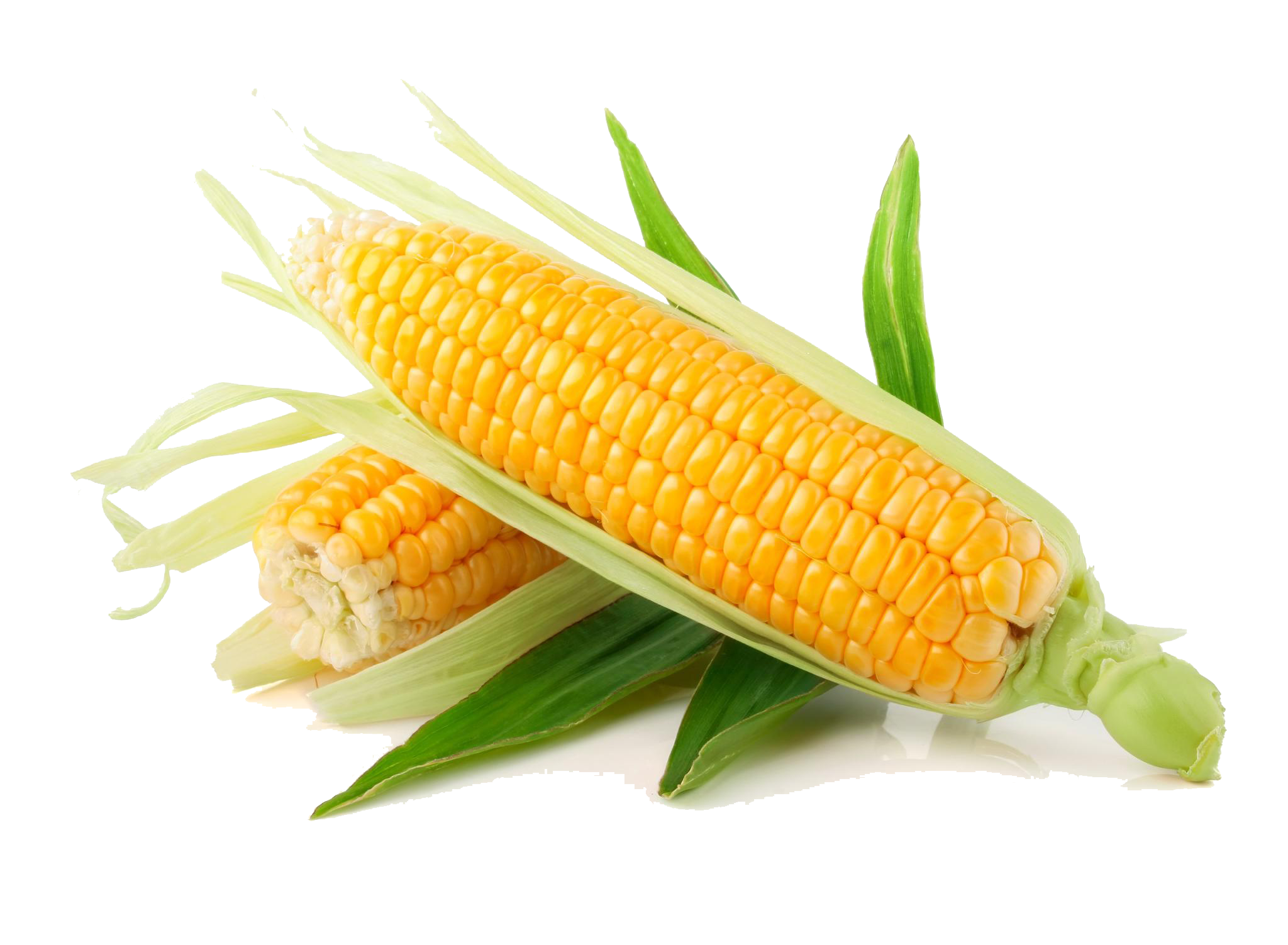 Corn Transparent PNG Image