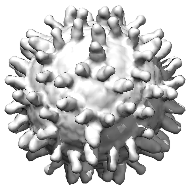 Coronavirus PNG Image High Quality Transparent PNG Image