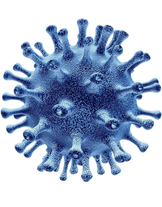 Coronavirus Download Free Image Transparent PNG Image