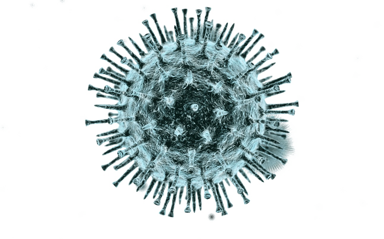 Picture Coronavirus Download HQ Transparent PNG Image