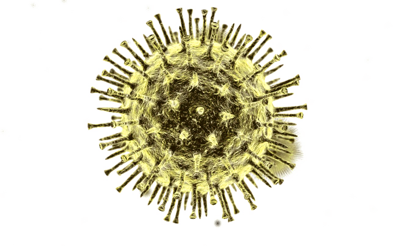 Coronavirus Disease PNG File HD Transparent PNG Image