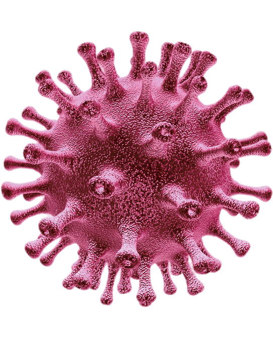 Coronavirus Disease Free Transparent Image HD Transparent PNG Image