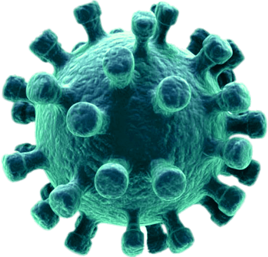 Coronavirus Disease Download HD Transparent PNG Image