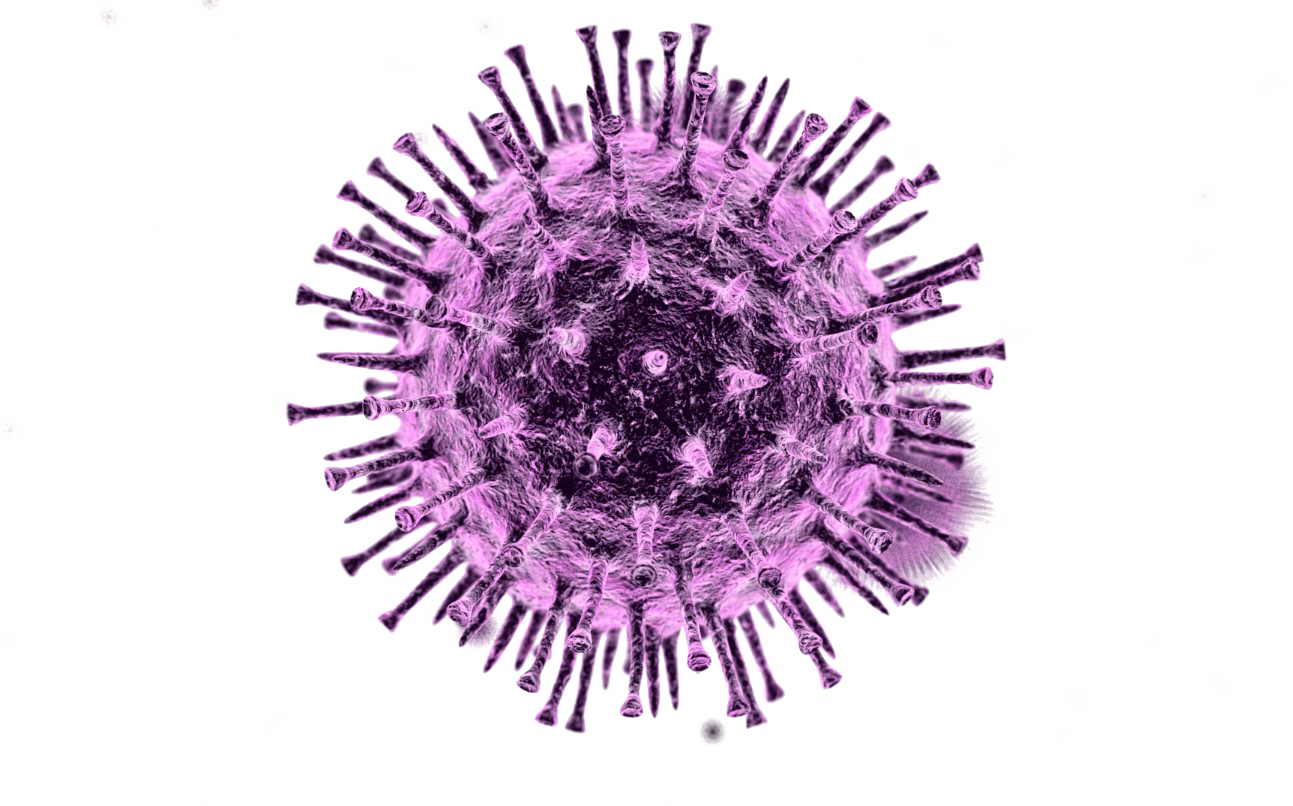 Photos Coronavirus Disease Free PNG HQ Transparent PNG Image