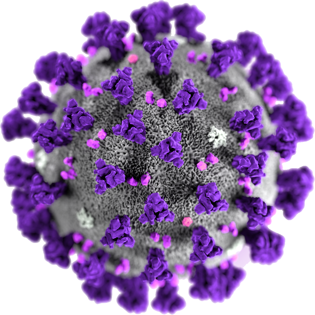 Coronavirus Disease Free Download PNG HQ Transparent PNG Image