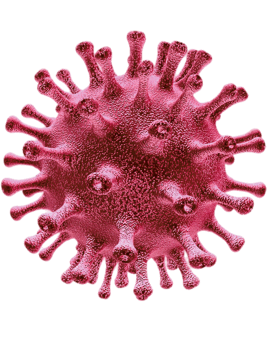 Coronavirus Disease Free Clipart HD Transparent PNG Image