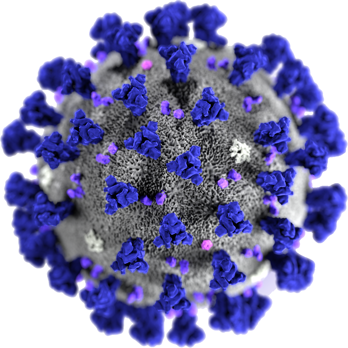 Virus Covid-19 Free Clipart HQ Transparent PNG Image