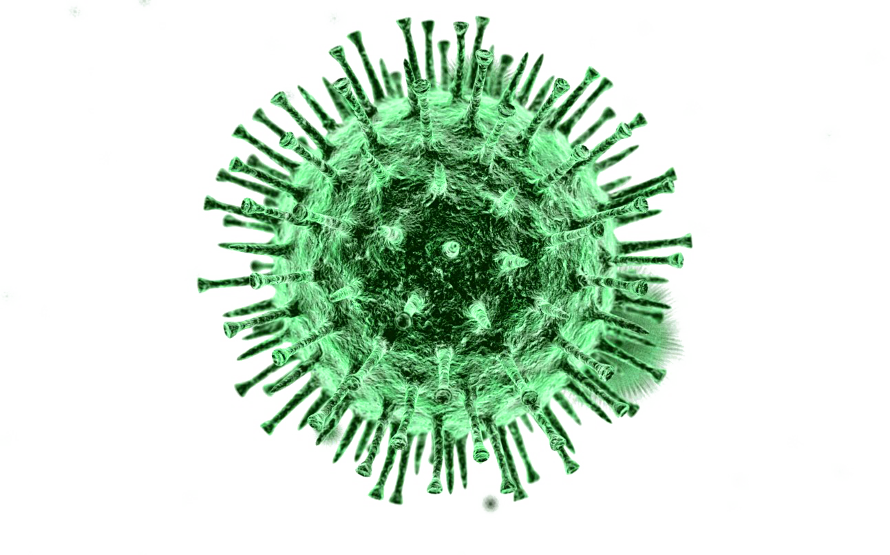 Virus Covid-19 Free Download Image Transparent PNG Image