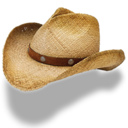 Cowboy Hat High-Quality Png Transparent PNG Image