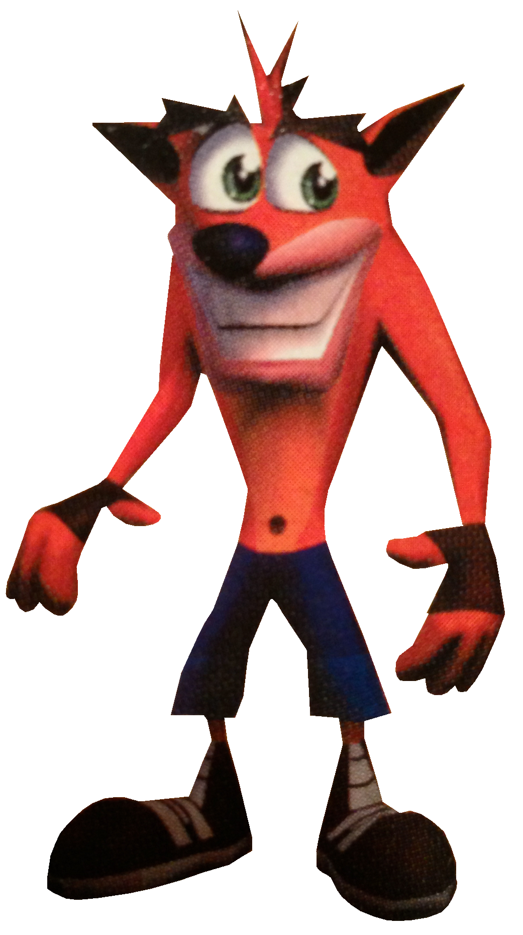 Crash Bandicoot Transparent PNG Image