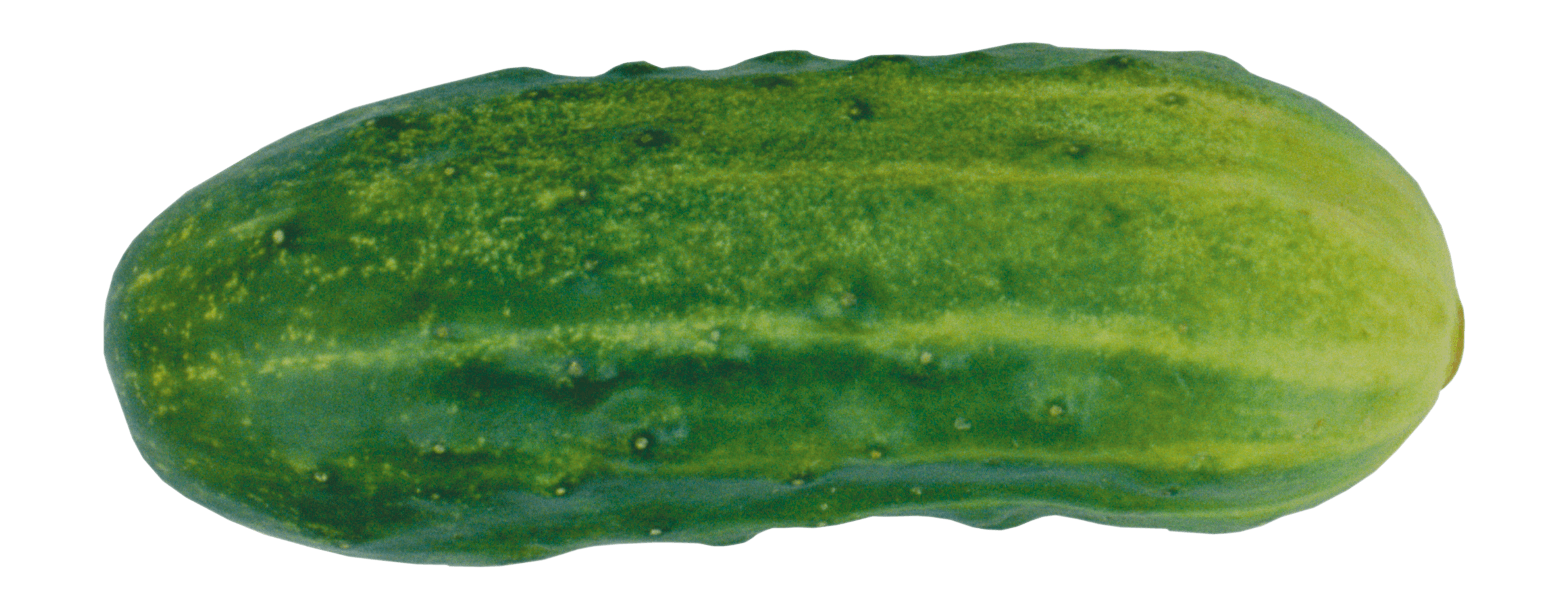 Green Cucumber Png Image Transparent PNG Image