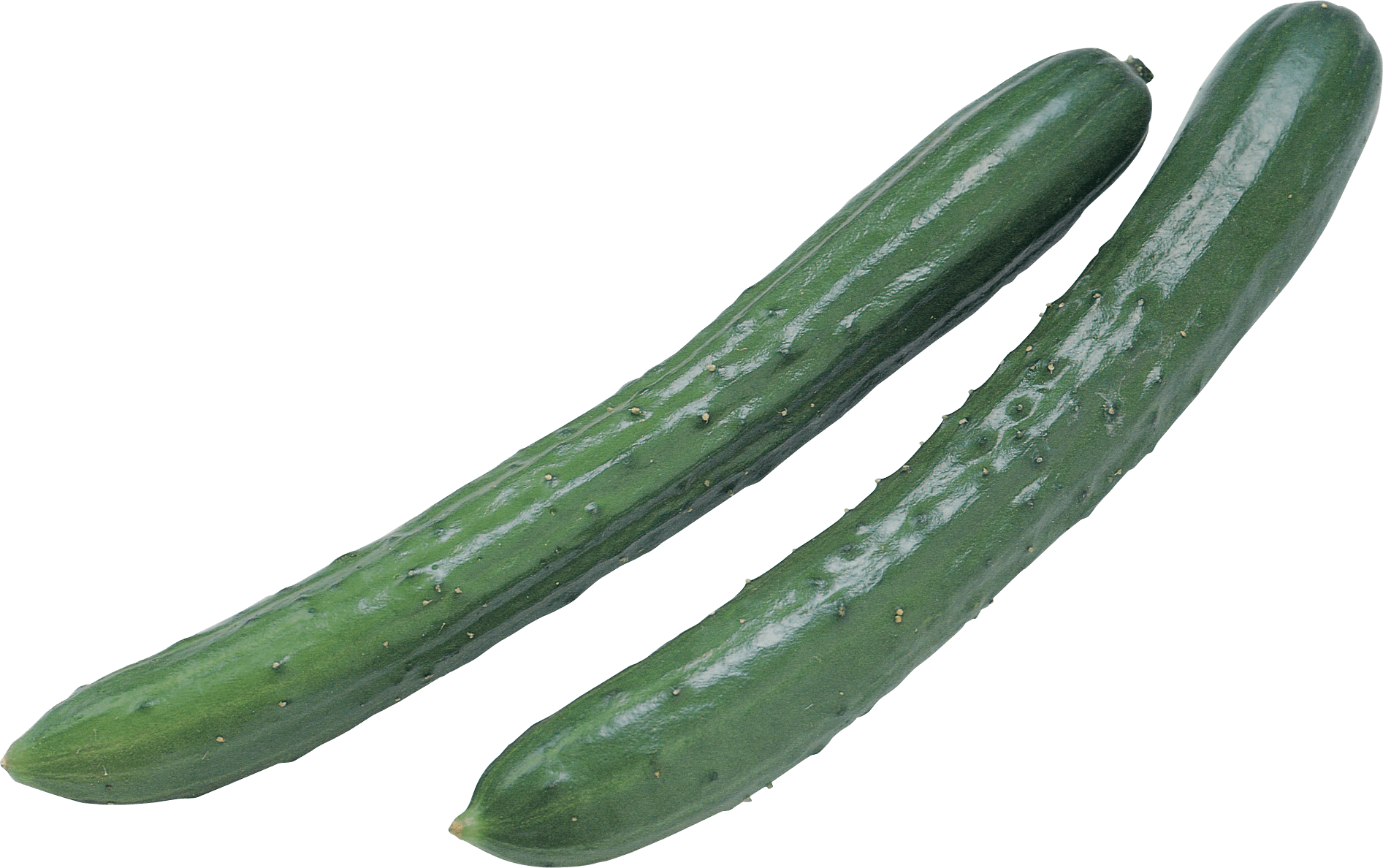 Cucumbers Png Image Transparent PNG Image