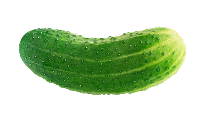 Cucumber Picture Transparent PNG Image