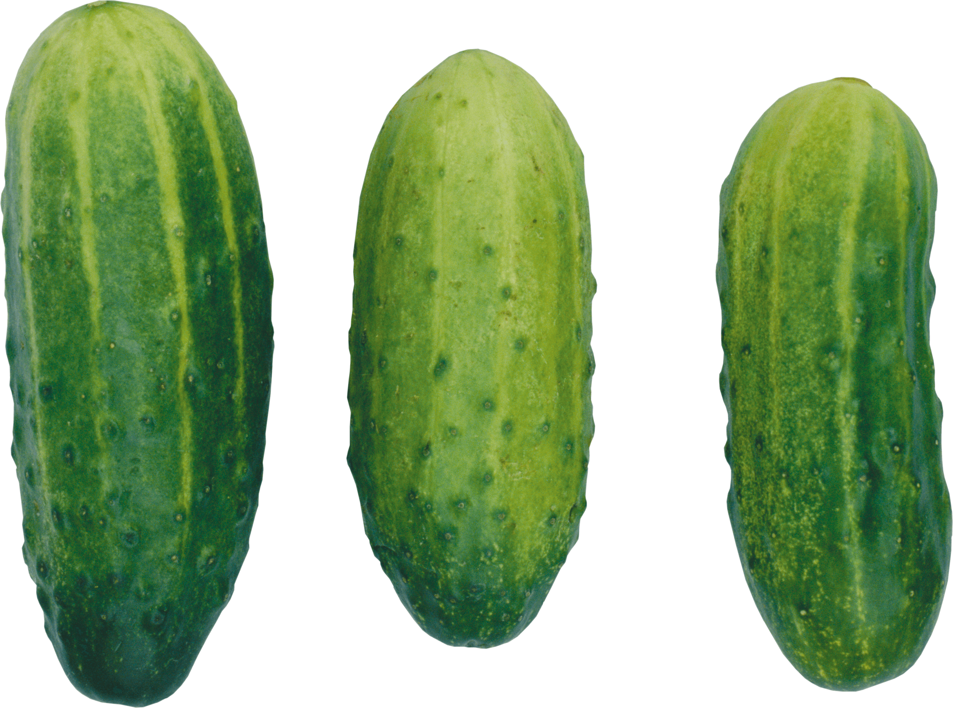 Cucumbers Png Image Transparent PNG Image