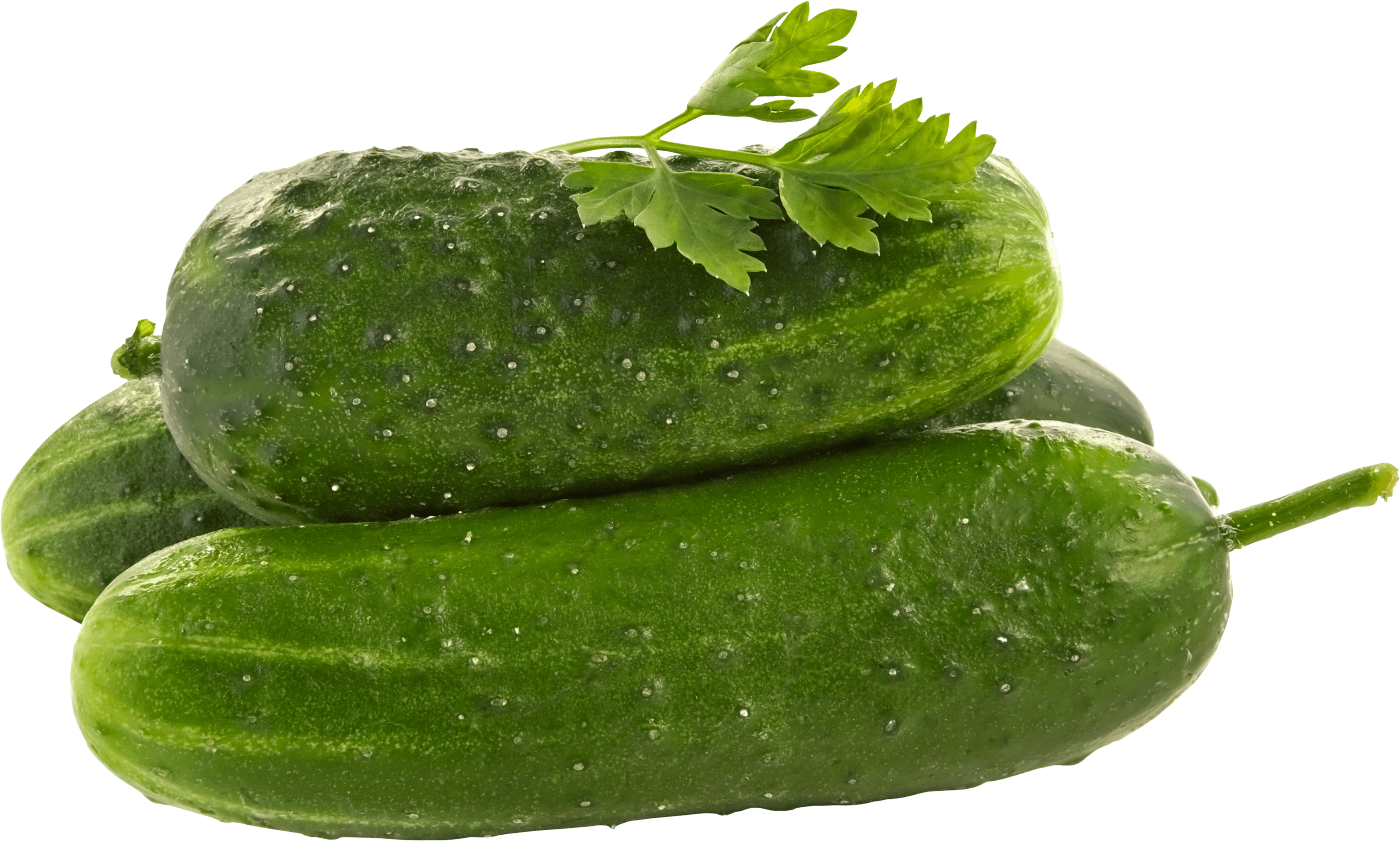 Green Cucumber Png Image Transparent PNG Image