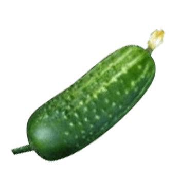 Cucumber Png Image Picture Download Transparent PNG Image